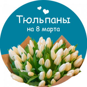 Купить тюльпаны в Волоколамске